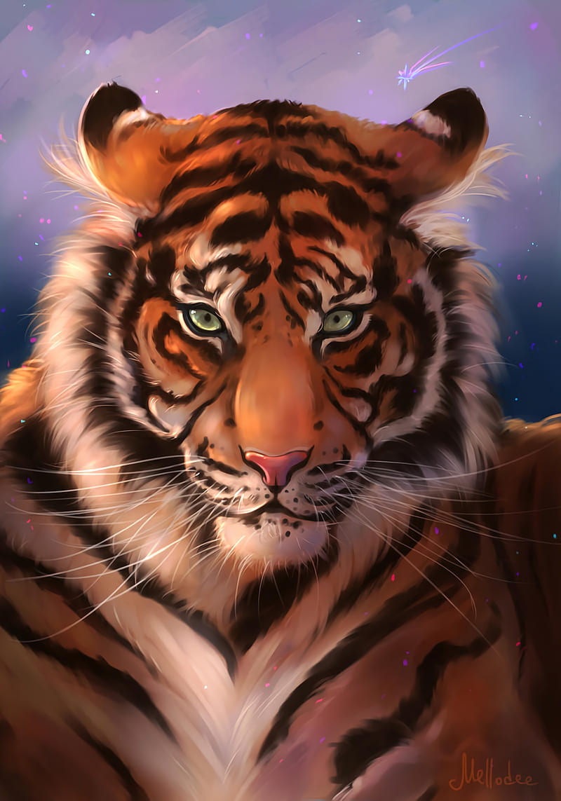 tiger, muzzle, art, predator, striped, HD phone wallpaper