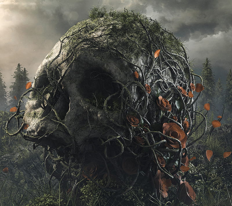 Skull and Roots, death, flowers, forest, gothic, night, roses, HD ...