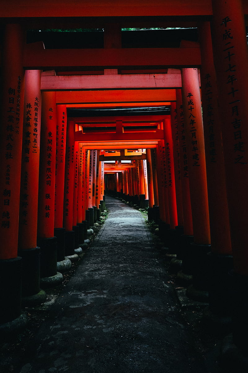 Torii Gate Pictures  Download Free Images on Unsplash