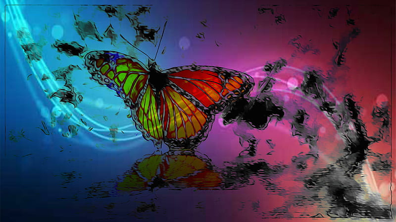 Papillon, blue, insecte, jaune, nature, pattern, rouge, vert, HD wallpaper