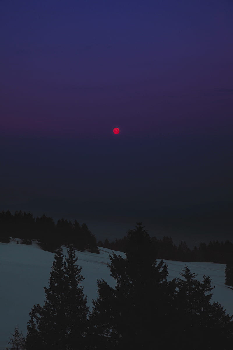 night, landscape, winter, moon, trees, dark, HD phone wallpaper