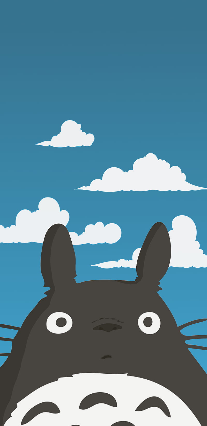 Retorcido Sicilia sutil Totoro, dibujos animados, hayao, miyazaki, Fondo de pantalla de teléfono HD  | Peakpx
