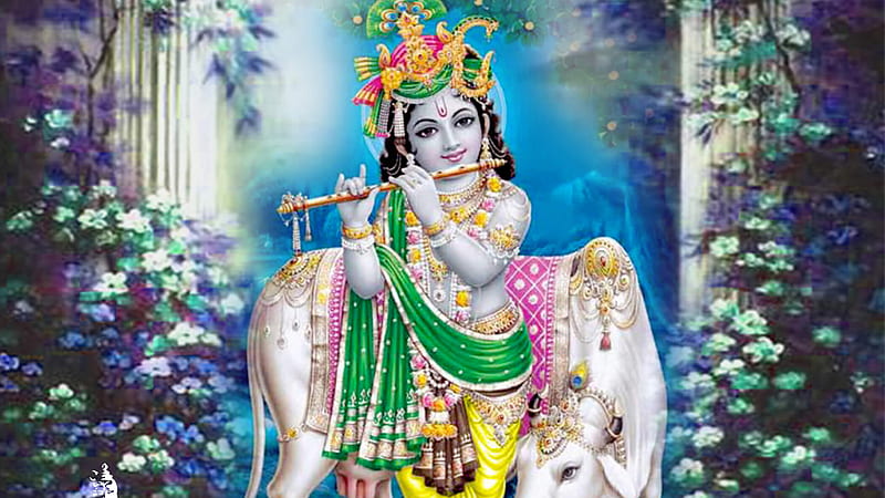 Krishna With Flute Krishna, HD wallpaper