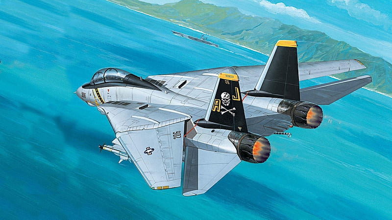 Grumman F-14 Tomcat, Military, Plane, Tomcat, F-14, Grumman, HD wallpaper
