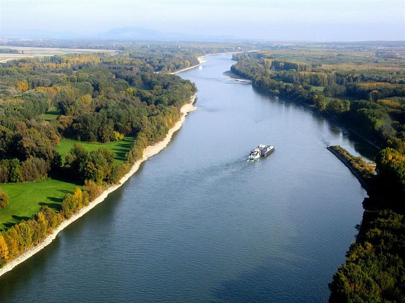 Danube River, Europe, forest, nature, river, Europe, HD wallpaper