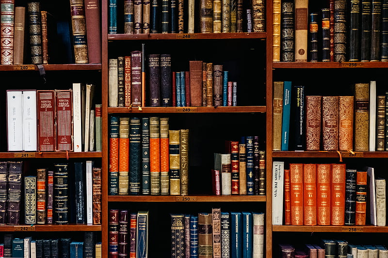 assorted-title of books piled in the shelves, HD wallpaper