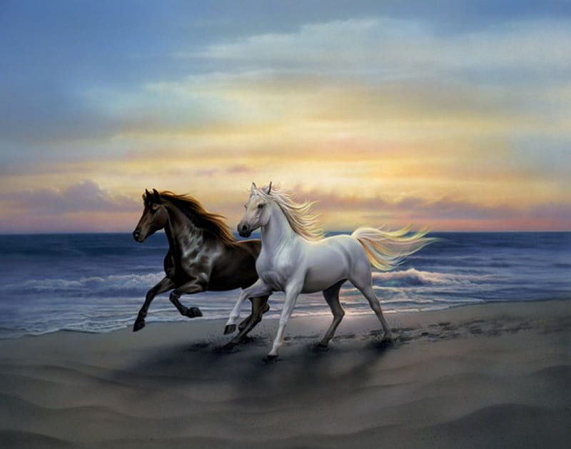 Horses Running at Beach Sunset, beach, sunset, horses, animal, HD wallpaper