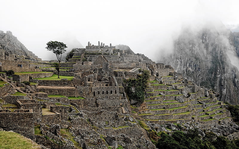 Machu Picchu, architecture, citadel, ancient, Andes Mountains, Inca, Peru, Ruins, Incan, landscape, HD wallpaper