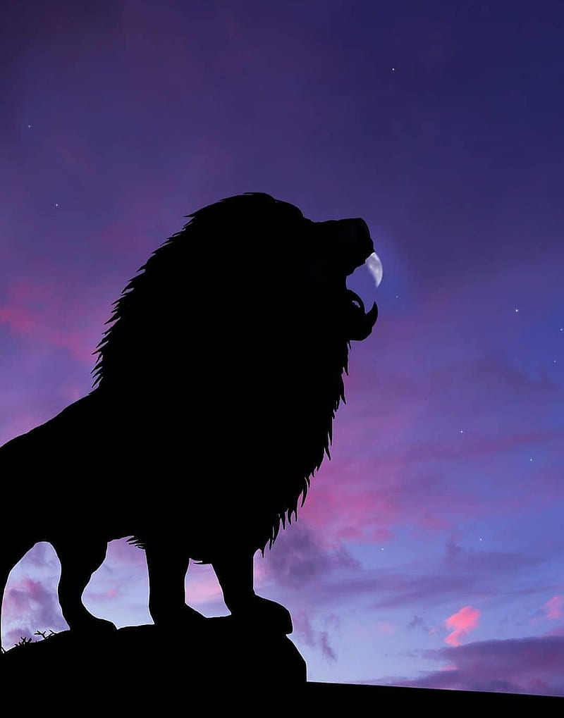 Lion night, black, king, lions, HD phone wallpaper