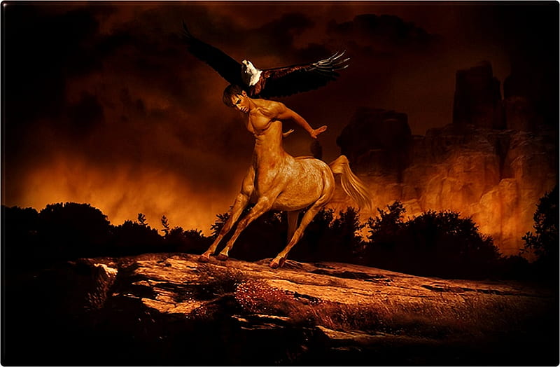 ATTACK, eagle, fantasy, centaur, HD wallpaper
