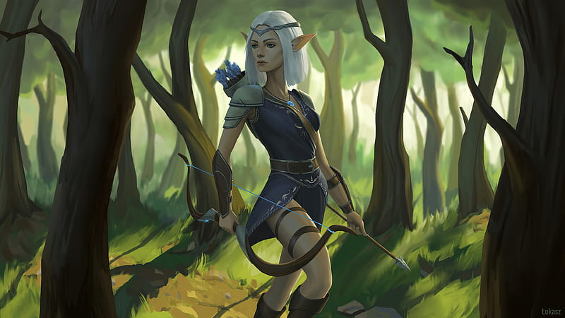 Elf Woman Archer Warrior, HD wallpaper