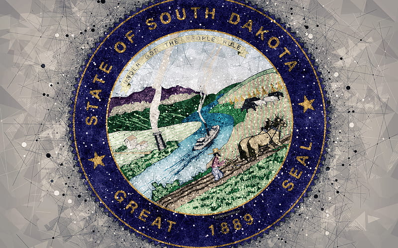 Seal of South Dakota emblem, geometric art, South Dakota State Seal, American states, gray background, creative art, South Dakota, USA, state symbols USA, HD wallpaper