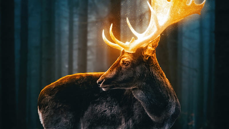 Magical Reindeer Forest , reindeer, forest, artist, artwork, digital-art, fantasy, HD wallpaper