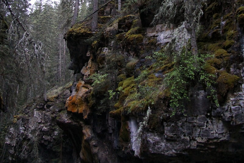 Rocks Johnston Canyon hiking trail, rocks, graphy, green, Forests, gris, moss, HD wallpaper