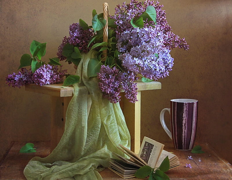 * Lilacs *, flower, flowers, spring, nture, HD wallpaper