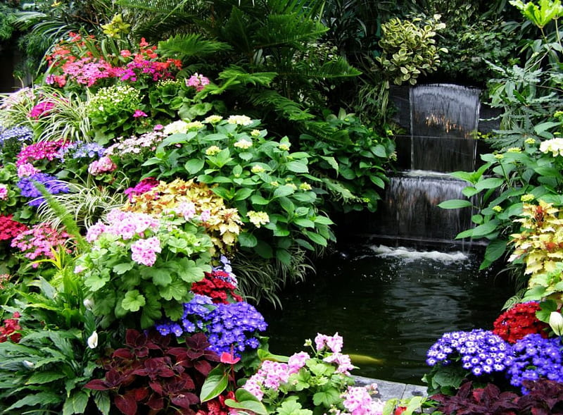 Water Feature, pond, garden, flowers, HD wallpaper