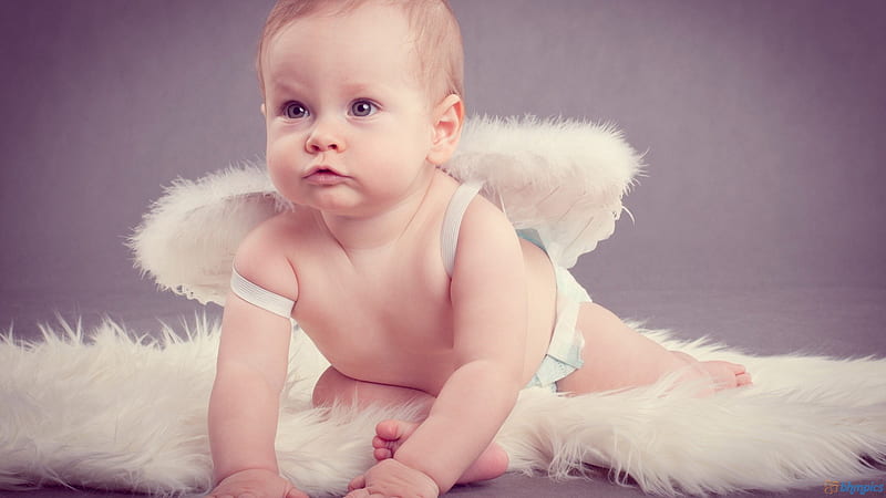 Cute Baby With White Fur Wings In Blur Background Cute, HD wallpaper