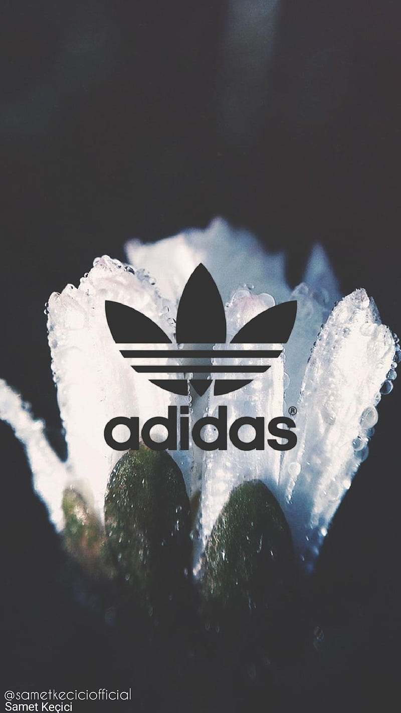 Adidas Walpaper, , logo, HD phone wallpaper