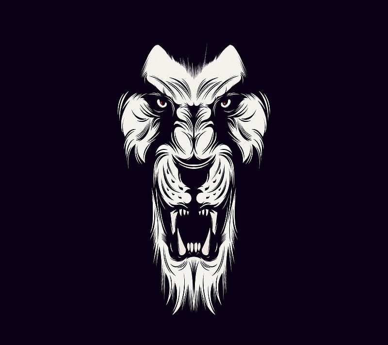 lion, black, white, HD wallpaper