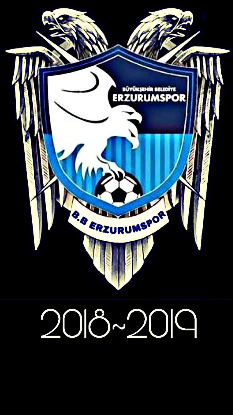 Erzurumspor, cifbaslikartal, club, erzurum, football, superlig, turkiye, HD phone wallpaper