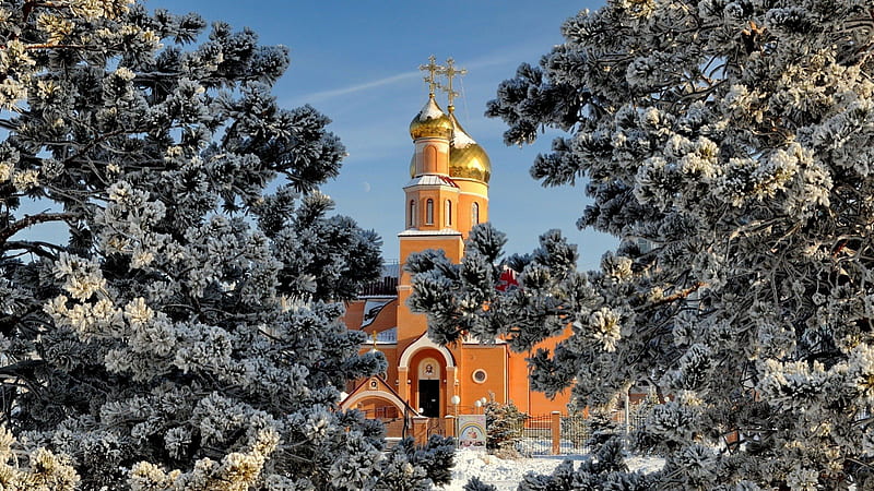 beautiful orthodox church in kazakhstan, gold, domes, church, trees, winter, HD wallpaper