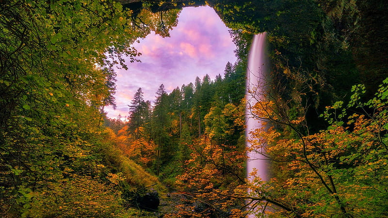 Silver Falls State Park, South Falls, Oregon, leaves, autumn, trees, clouds, sky, forest, usa, sunset, HD wallpaper