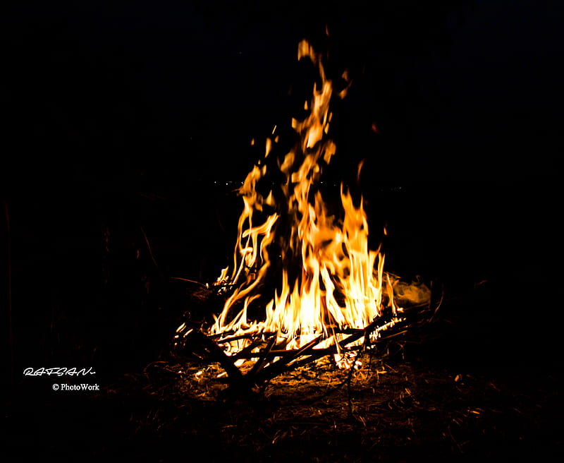 Fire, bonfire, camp, nature, night, woods, HD wallpaper