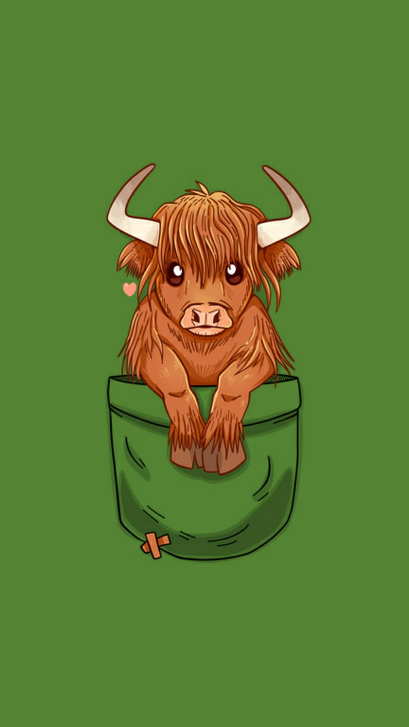 Highland cow, moo, HD phone wallpaper