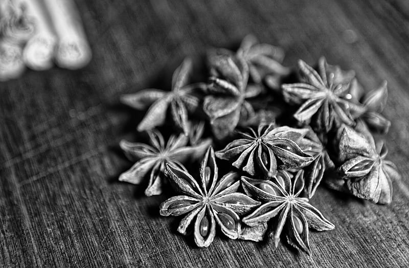 star anise, spices, macro, black and white, HD wallpaper
