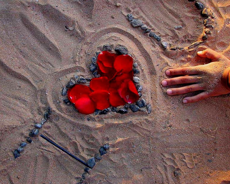 love in the sand, romantic, rose, beach, graphy, sand, love, heart, flowers, nature, HD wallpaper