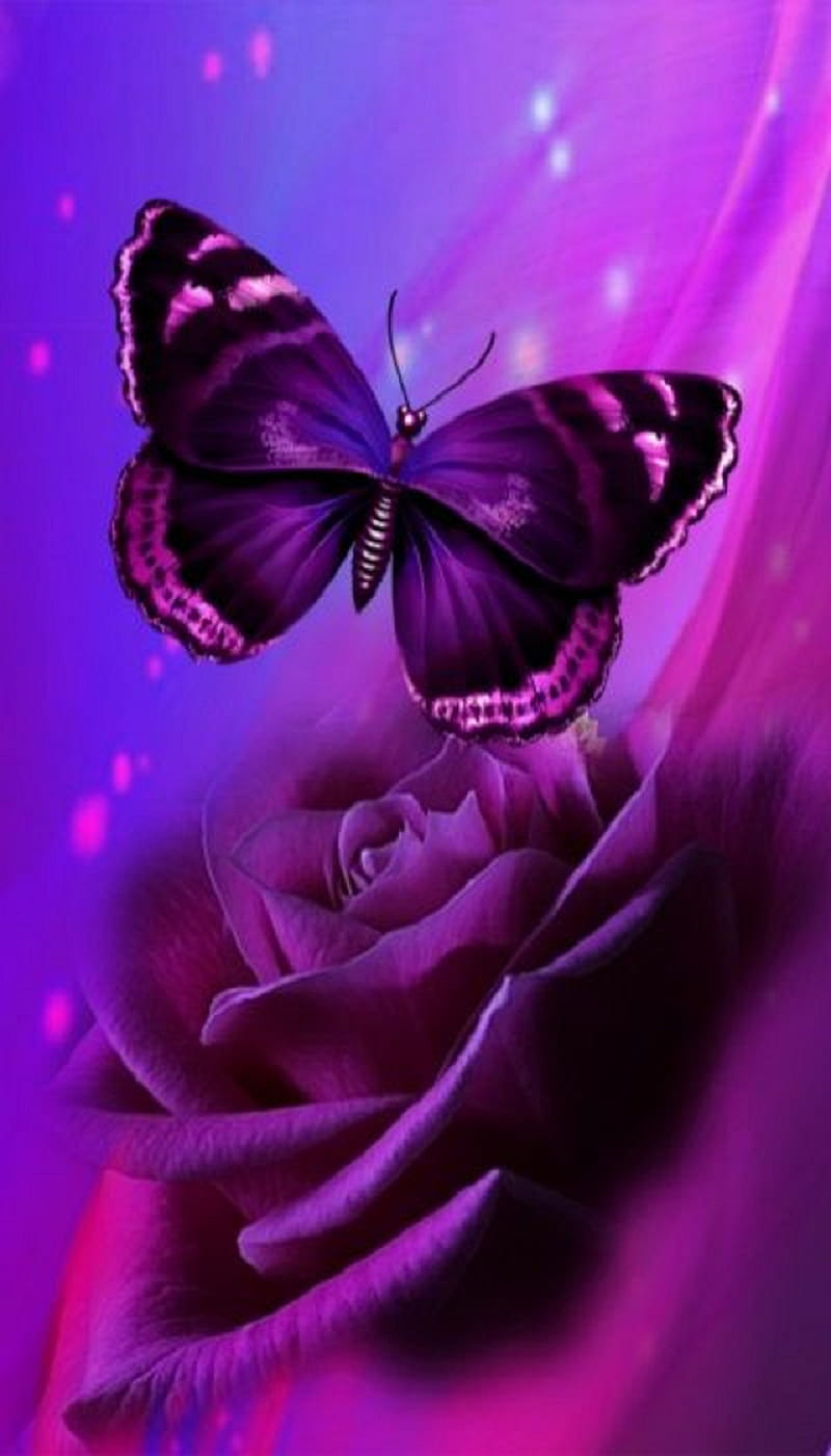 HD wallpaper Purple Butterflies purple animated butterflies art design   Wallpaper Flare