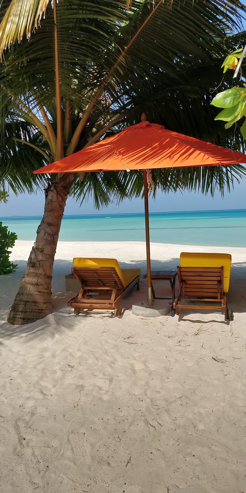 Maldives, adore, blue, crystal, happy, honeymoon, love, palmtree, sunny, HD phone wallpaper