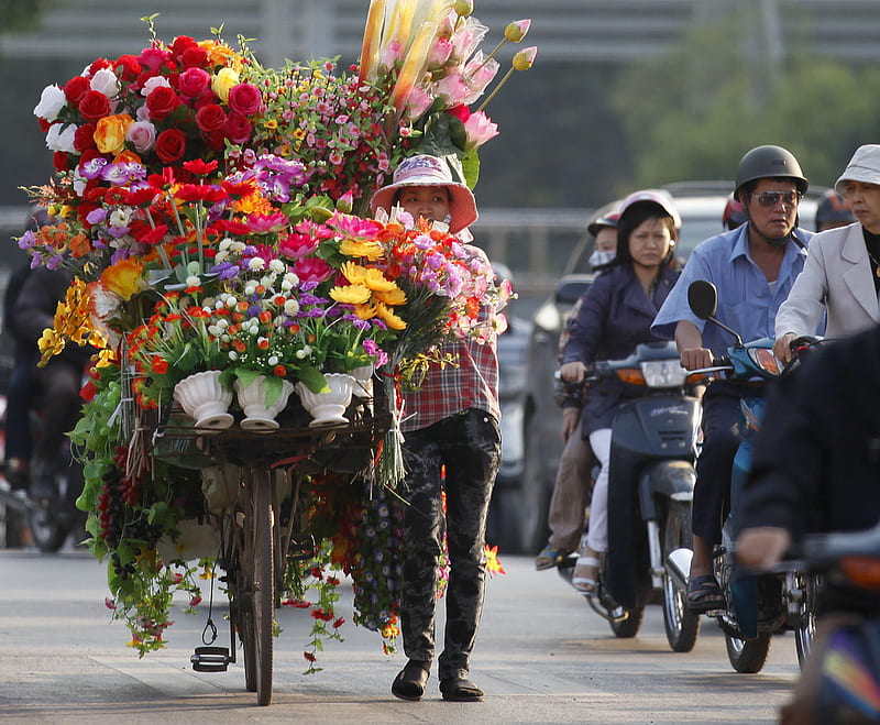 to the market, bicycle, flowers, woman, market, vietnam, HD wallpaper