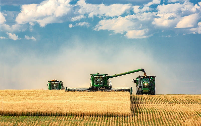 traktori, harvesting, harvester, harvest, tractors, HD wallpaper