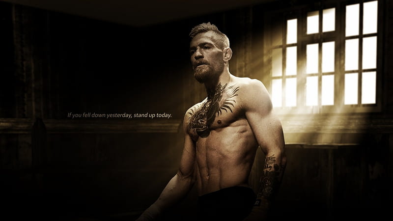 Conor-McGregor, motivation, GYM, McGregor, body, workout, Conor, HD wallpaper