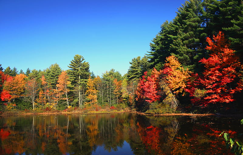 Lake foliage, skies, fall, lakes, colors, nature, bonito, reflection ...