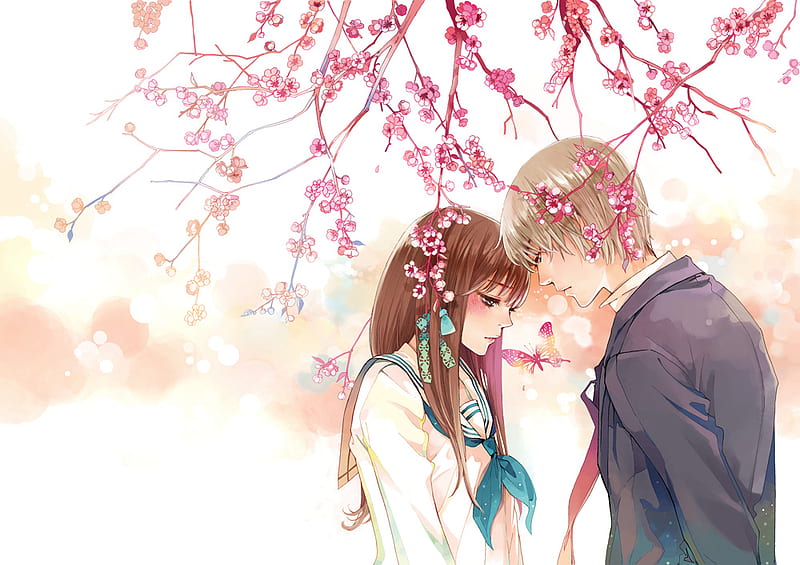 The lover , sakura blossom, wing, cherry blossom, butterfly, anime, love, anime girl, couple, sakura, female, wings, male, romantic, romance, boy, girl, flower, lover, HD wallpaper
