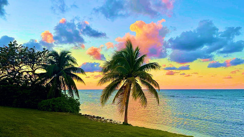 A perfect Jamaican sunset, beach, clouds, sea, palms, colors, HD wallpaper