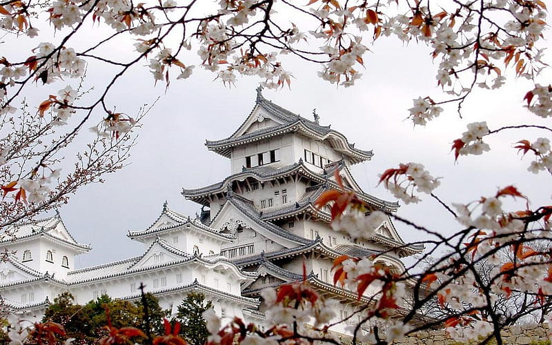 Himeji Castle, Himeji, japan, Japan, Cherry blossoms, Architecture, White Castle, Spring, HD wallpaper