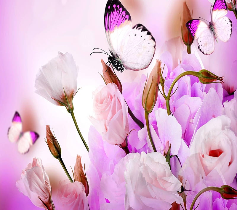 Beautiful Flowers, HD wallpaper | Peakpx