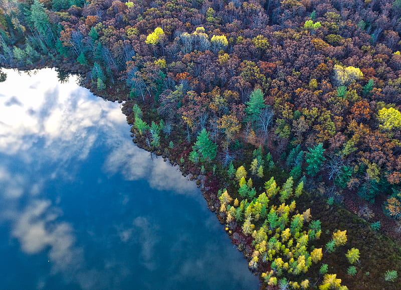 Aerial View From Top Trees , aerial, river, nature, trees, HD wallpaper