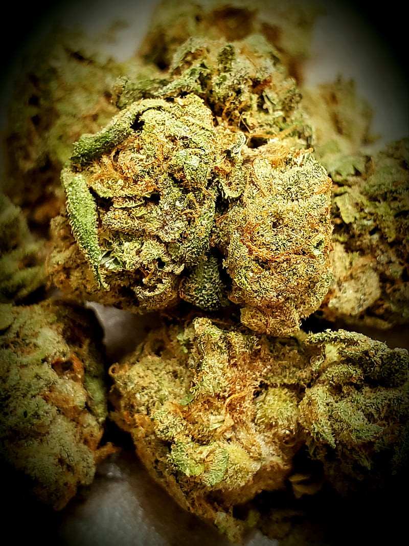 Marijuana , bud, buds, leaf, plant, smoke, HD phone wallpaper