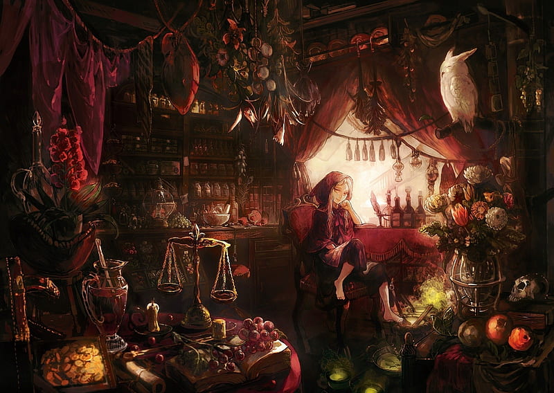 Sorceress' shop, red, owl, shop, sorceress, vase, magic, mysterious, girl, herbs, flowers, scales, skull, HD wallpaper