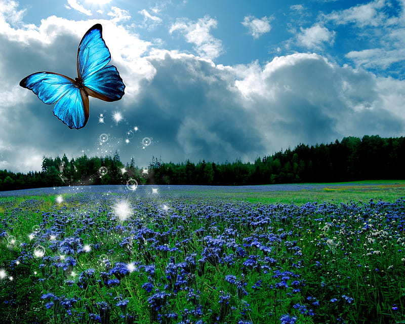 ✰Blue Butterfly Summer✰, pretty, clouds, sparkle, flutter, butterfly, splendor, manipulation, love, bright, flowers, florals, wings, lovely, creative pre-made, sky, trees, cute, cool, flying, colorful, scenic, dazzling, bonito, seasons, digital art, blossom, fields, scenery, blooms, animals, view, Butterfly Designs, colors, spring, shines, plants, summer, HD wallpaper