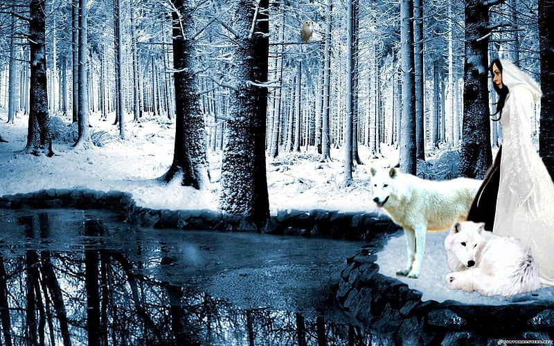 For my sweet friend Kathy ( spiritlake 57 ), snow, nature, wolf, wolves, lady, lake, animals, friends, HD wallpaper
