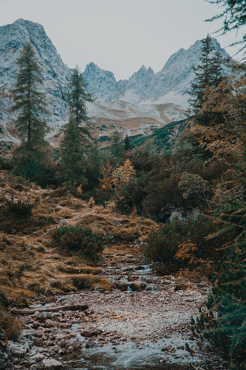 mountains, trees, landscape, river, stream, HD phone wallpaper