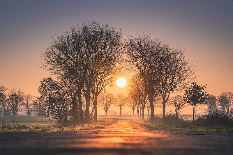 Earth, Sunrise, Dawn, Germany, Nature, Road, Sun, Tree, HD wallpaper