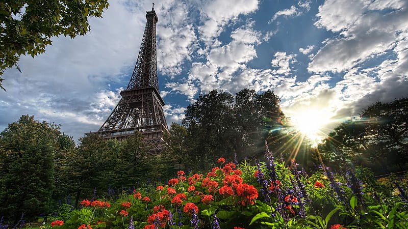 Eiffel tower, flower, paris, eiffel, tower, HD wallpaper | Peakpx