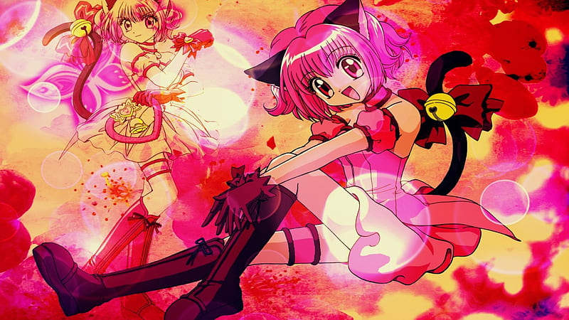 Meow, girl, neko, anime, HD wallpaper | Peakpx