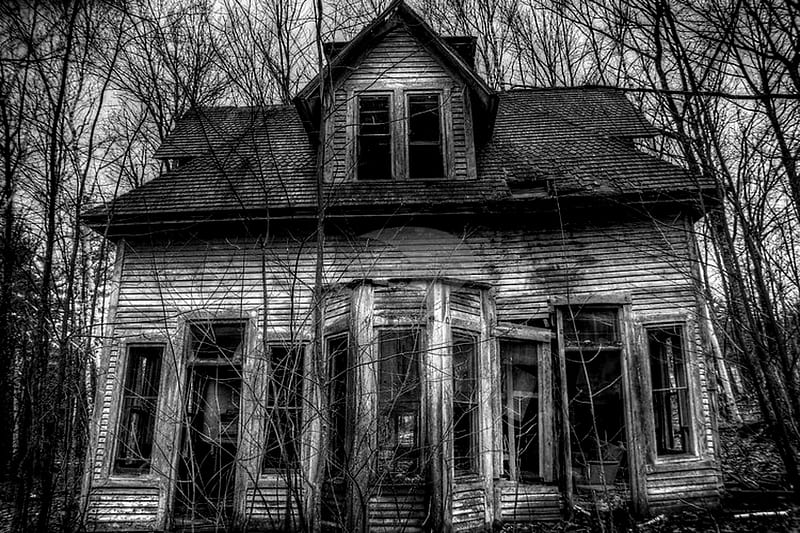 Old Scary House, Black and White, Old, Scary, House, Trees, HD wallpaper
